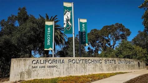 fun classes at cal poly|cal poly courses list.